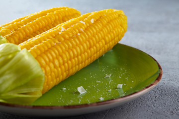 Two ears of boiled corn on a plate in the kitchen. Selective focus.