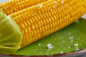 Two ears of boiled corn with leaves on a plate in the kitchen. Close up.