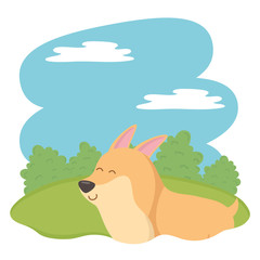 Fototapeta premium Dog cartoon design vector illustrator