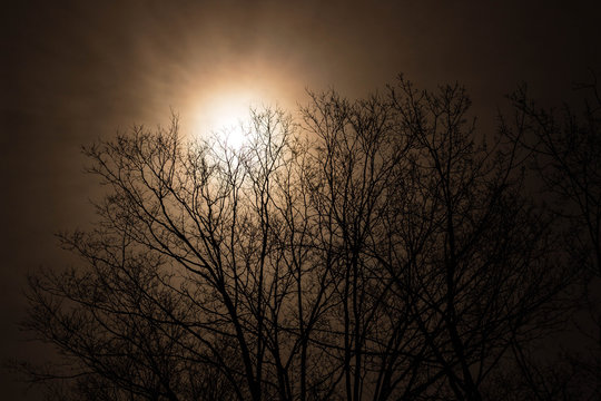 Foggy Winter Full Moon © Brian