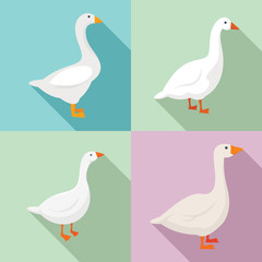 Goose icons set. Flat set of goose vector icons for web design