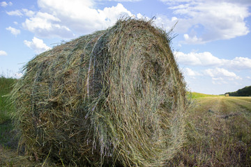 Hay bale of dry grass close-up