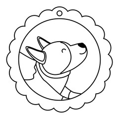 Dog cartoon design vector illustrator