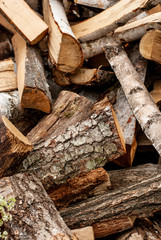 Split dry firewood ready for winter. Background of logs, birch, pine and oak