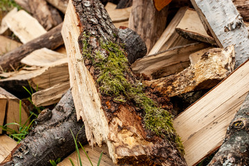 Split dry firewood ready for winter. Background of logs, birch, pine and oak