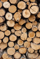 Split dry firewood ready for winter