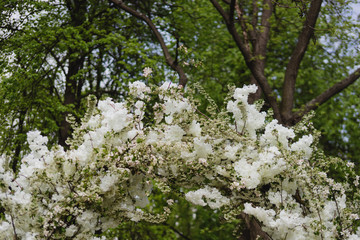 Coziness and style. Modern event design. Lounge zone and european traditional wedding ceremony decoration outdoors in the restaurant before the reception.
