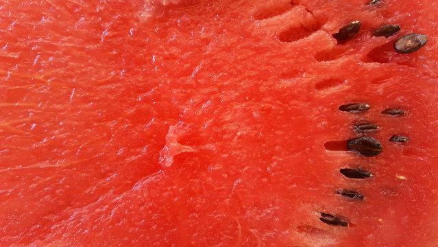 watermelon with seeds, texture, close up