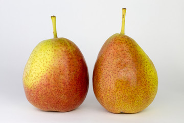 green-red pear on white background, close-up, copy space
