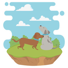 Dogs cartoons design vector illustrator