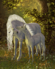 Obraz na płótnie Canvas Unicorn Bonding - A white Unicorn mare shows her affection for her little colt in a magical forest full of legendary creatures.