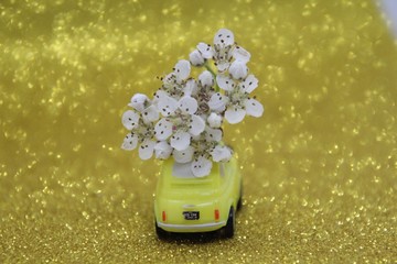 bokeh with machine and flowers of chokeberry on a yellow background