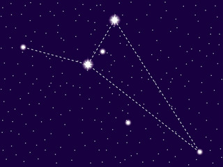 Obraz na płótnie Canvas Octans constellation. Starry night sky. Cluster of stars and galaxies. Deep space. Vector illustration