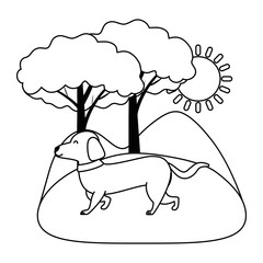 Dog cartoon design vector illustrator