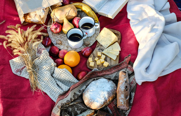Outdoor activities in autumn, picnic with fruit, cheese and bread