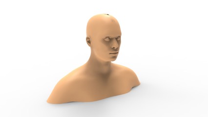 3d rendering of a human model isolated in white background