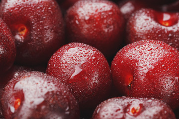 Ripe and fresh berries of a sweet cherry with water drops closeup.