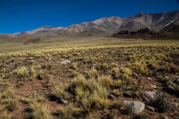 Esplorando la meravigliosa riserva naturale di Famatina, La Rioja, Argentina
