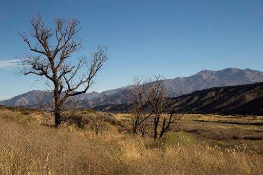 I dintorni di Cachi, Salta, Argentina