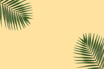 Fototapeta na wymiar Summer minimal tropical banner. Green palm leaf on the yellow pastel background with copyspace