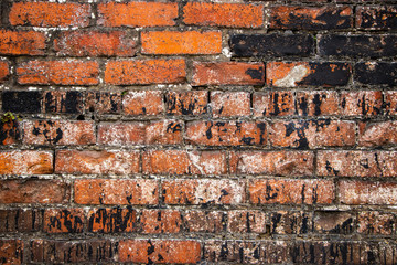 Black and Orange brick wall surface background texture