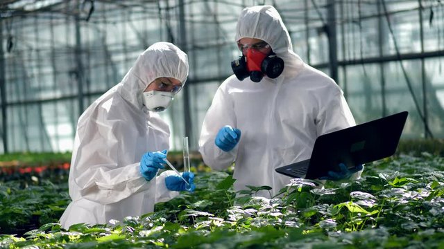 Man and woman use a test tube and a pipette while working in a greenhouse.