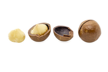 Macadamia nut isolated on white background.