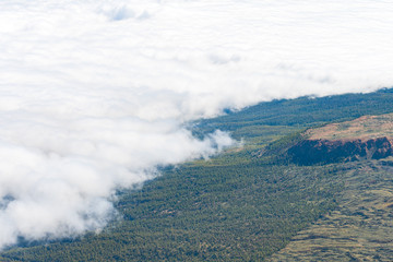 views of clouds covering a forest 