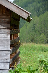 Bienenstock mit Bienen
