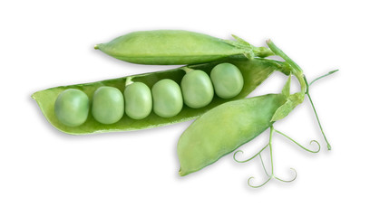 sprig of green peas with an open pod and peas on a white background