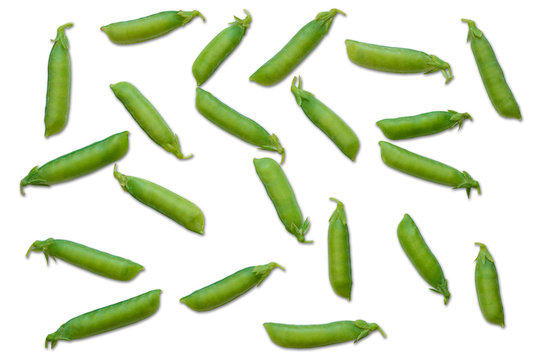 Pea pods are randomly scattered on a white background