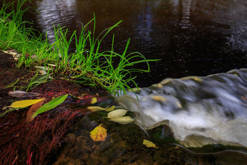 Fallen leaves in streams of water. Waterfall on a forest river. Autumn mood. Top view closeup. Perfect for design and background.