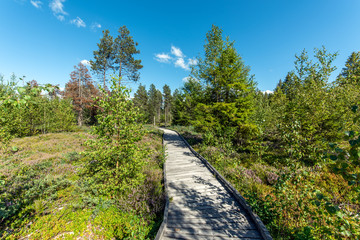 Chemin découverte nature