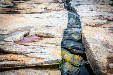 Black intrusive igneous basalt dike rock and granite at Schoodic Point in Acadia National Park, Maine, USA