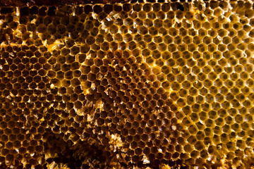 Honeycomb