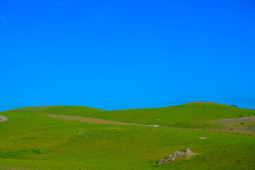 Obraz premium Meadow with beautiful blue sky background with copy space
