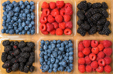 Assorted Berries on wood background