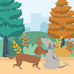 Dogs cartoons design vector illustrator