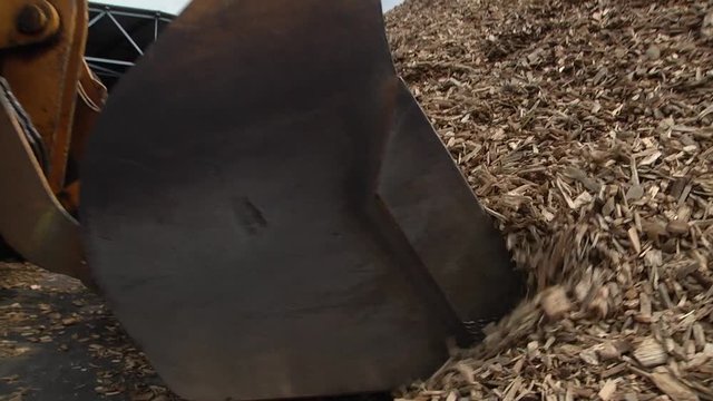 Trucks with fuel chips. Wood chips for paper production. Yellow front loader with bucket down scooping wood chips for biofuel. 
