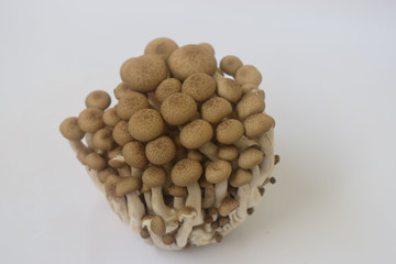 Fototapeta na wymiar Fresh brown mushrooms with white background