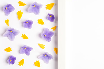 Yellow petals and violet flowers on a white background. Top view, copy space. Flat lay.