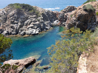Cala de la Costa Brava catalana, azul del mar, aguas transparentes, cristalinas y frescas. Pinos que llegan al mar en sus acantilados. Costa abrupta.