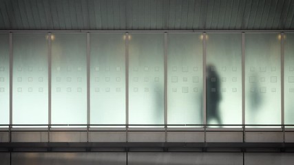 The silhouettes of people walking behind frosted glass in a train station in Tokyo. This video loops seamlessly. - Powered by Adobe
