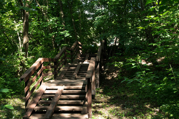 Wooden staircase in the Park. Old brown. Forest trees.