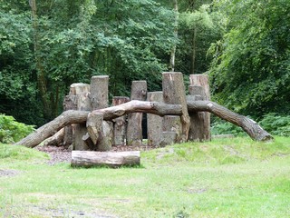 Wild natural play area for children