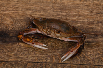 Raw crab - ready for cooking