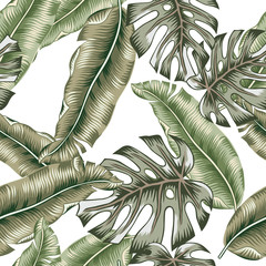 Tropical banana, monstera palm leaves, white background. Vector seamless pattern. Graphic illustration. Exotic jungle plants. Summer beach floral design. Paradise nature © ojardin
