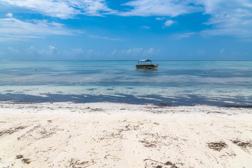 Obraz premium Zanzibar in Tanzania, beautiful beach with white sand, and a typical fishing boat