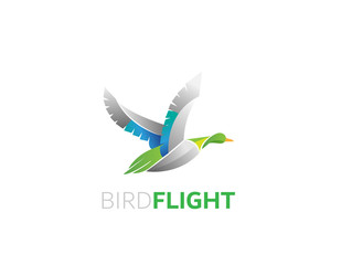 Fototapeta premium Bird flight logo