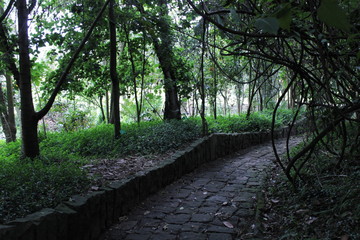 camino